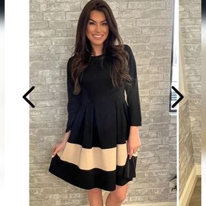 Nursing Queen Fit and Flare Black and Tan Dress